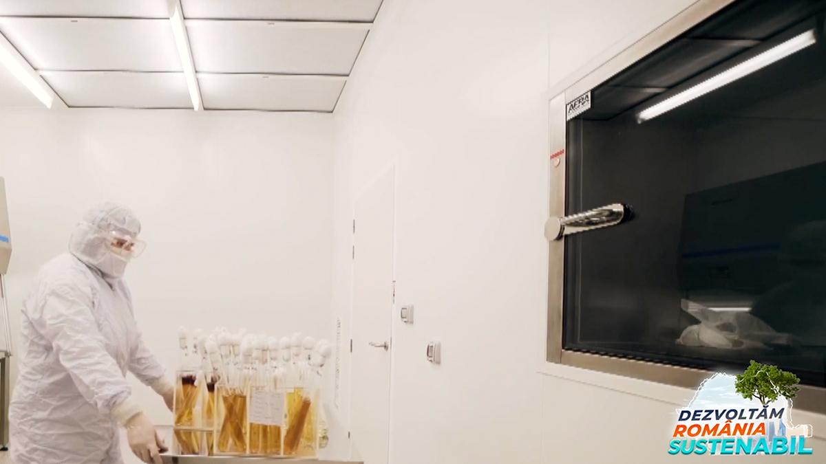 o companie sustenabila e o companie responsabila dezvoltam romania sustenabil