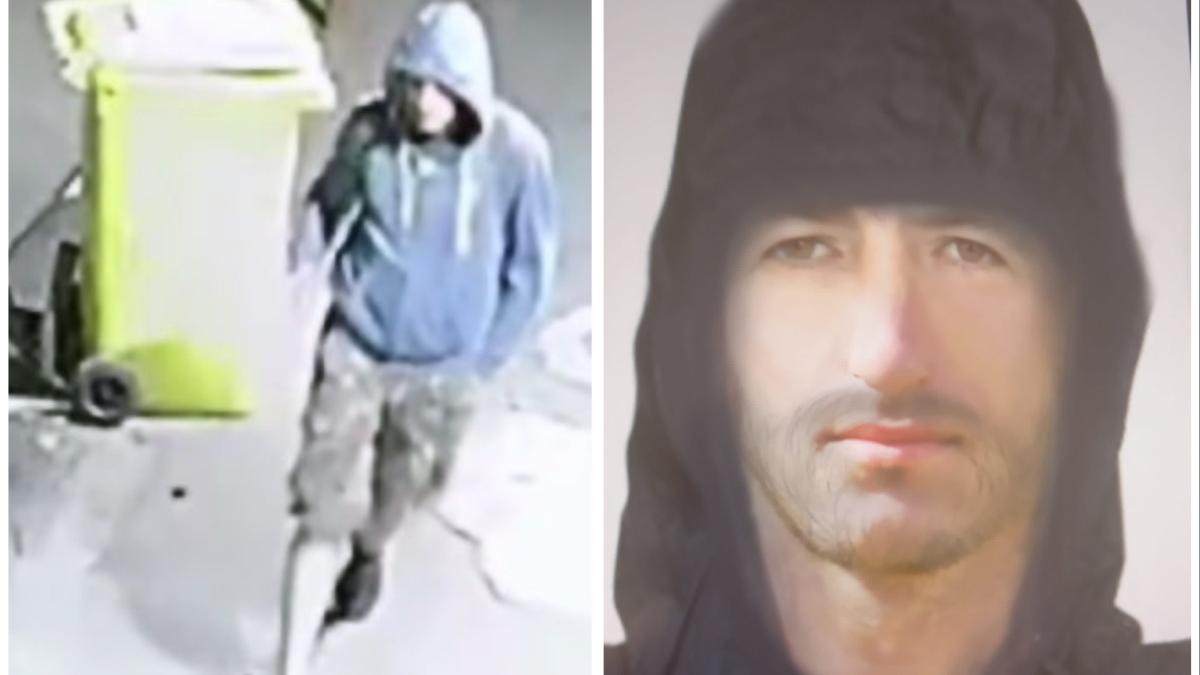 criminal batrani timisoara