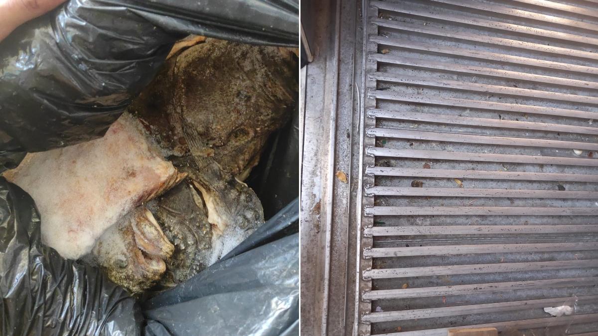 cunoscut restaurant costinesti inchis gandaci mizerie produse expirate anpc