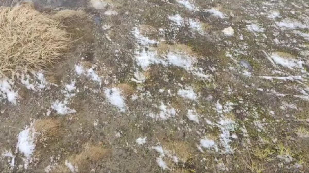 Ninge puternic la munte în toiul verii! Temperaturile scad în toată țara