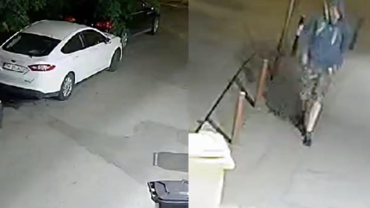 politie cere ajutor cetateni prindere ucigas bunici timisoara