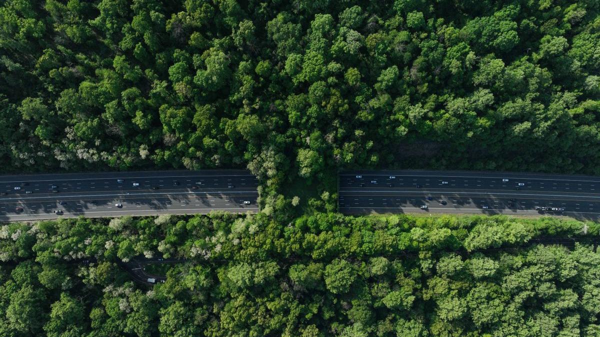 element surprinzator intinereste oameni doi ani si jumatate