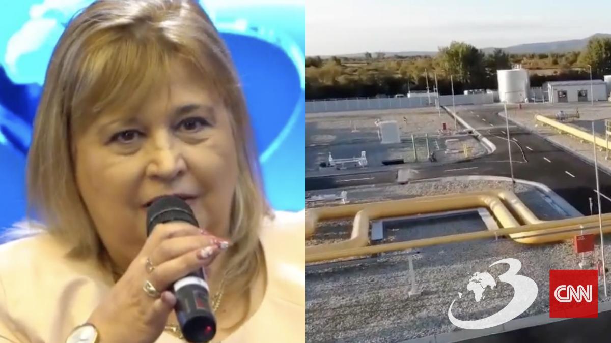 elisabeta ghidiu transgaz companie romaneasca actionari