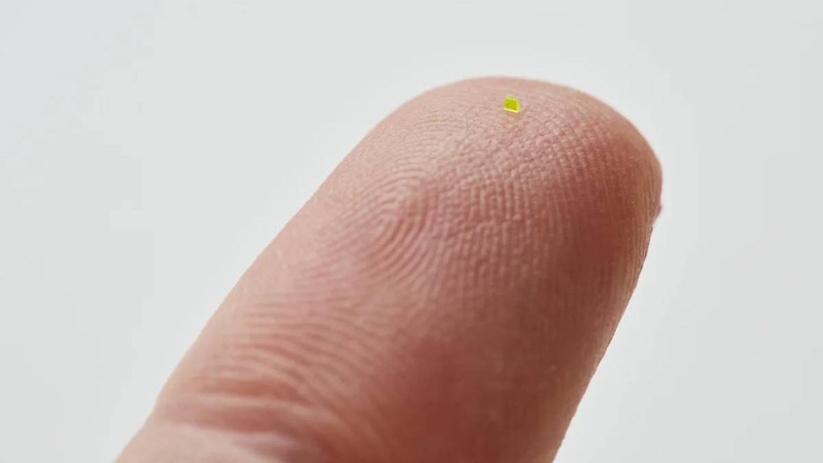 geanta louis vuitton invizibila graunte sare microscop 60 000 euro