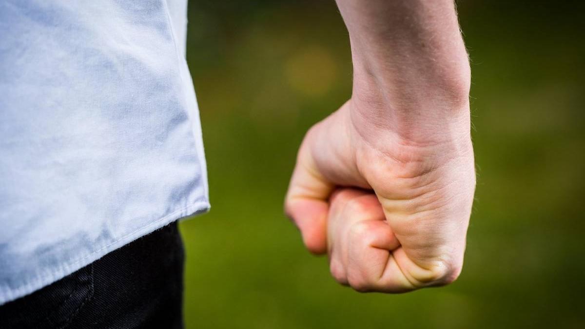 ingrijitor stana dolj batut bestialitate proprietar pierdut animale