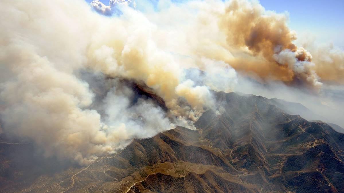 nor toxic canada romania anm