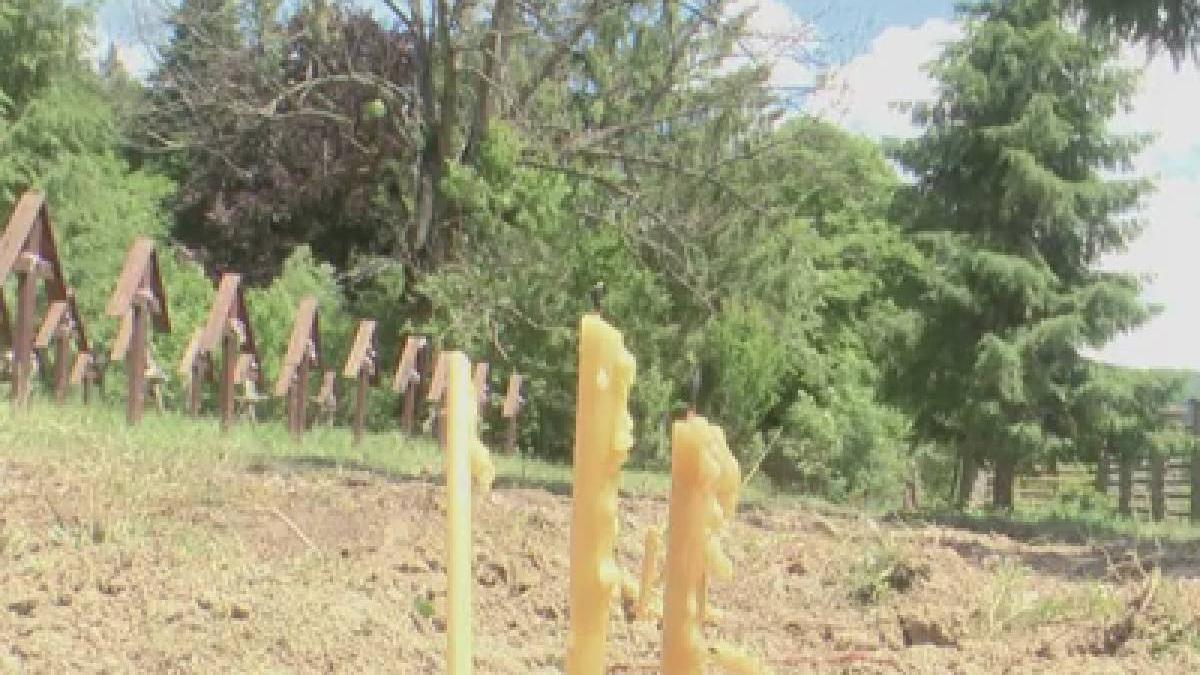 cruci eroi romani demolate cimitir valea uzului bacau