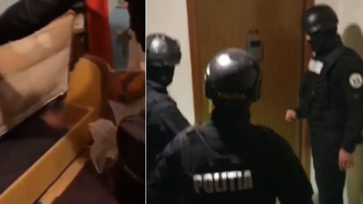 tanar bacau urmarire ascuns canapea mascati