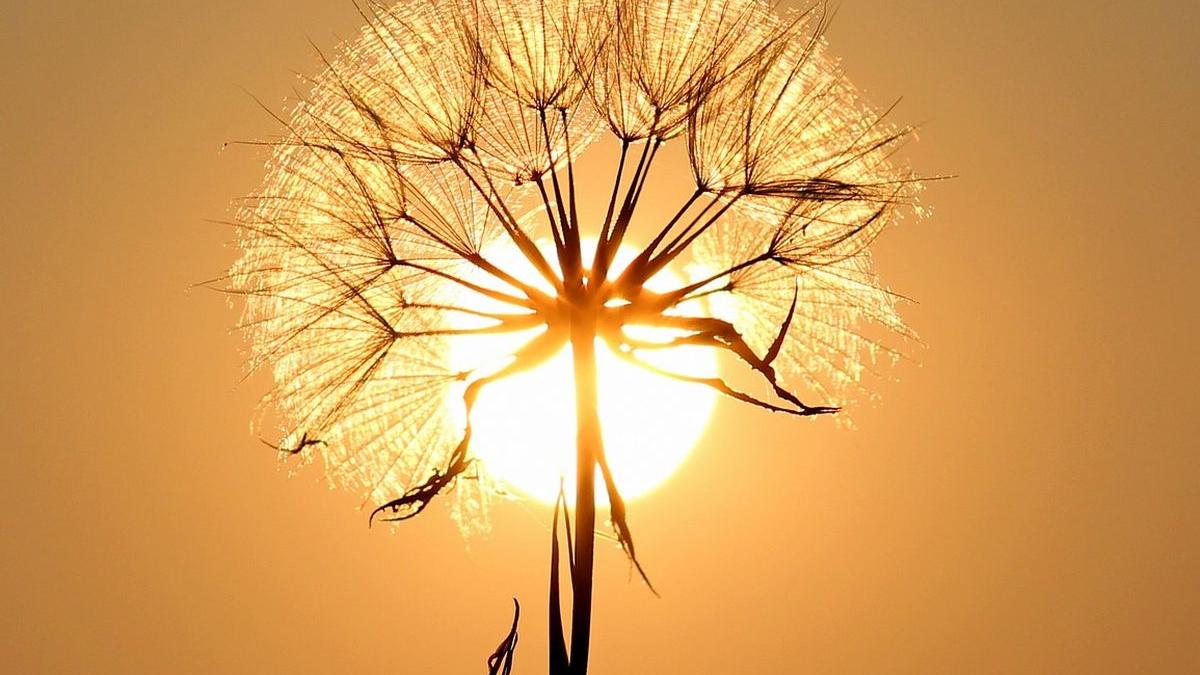 prognoza meteo speciala bucuresti vreme