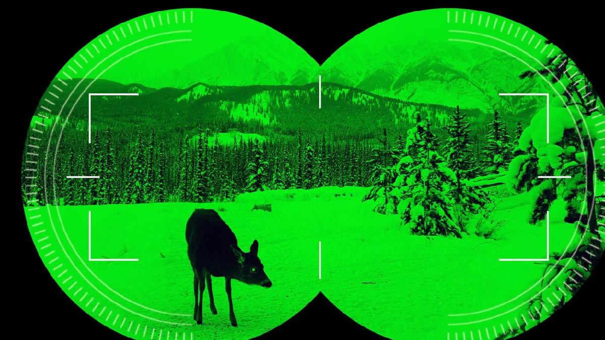 cum recunosti camerele cu termoviziune profesionale