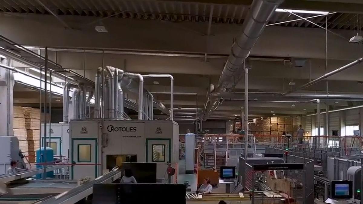 elevi romani pregatire scoala job practica platita