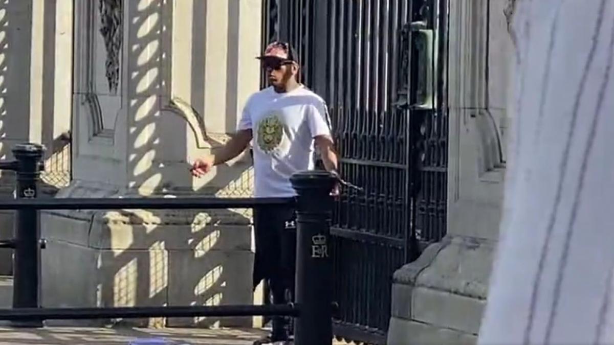 palatul buckingham alerta barbat legat catuse