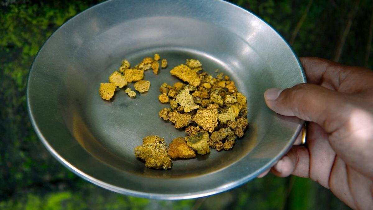 zacaminte aur mina coasa de fildes