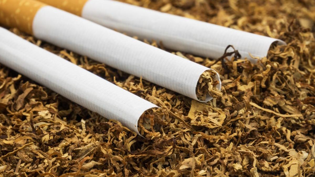 companii bat jti pmi imperial tobacco scrisoare deschis guvern noua crestere