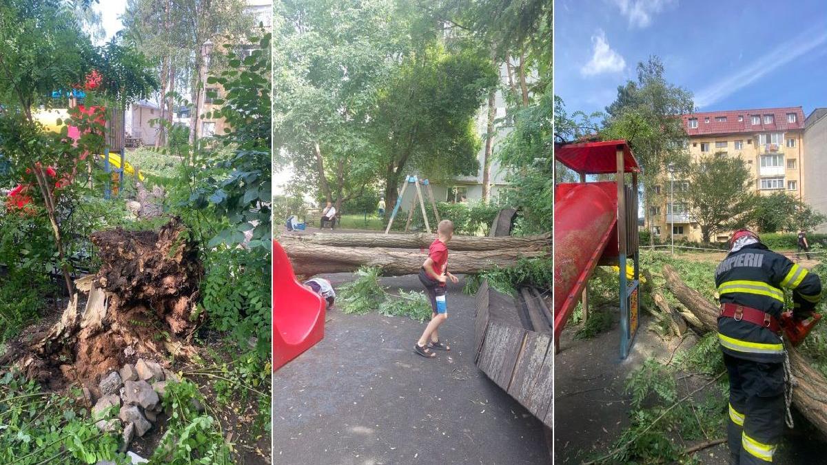 copac prabusit loc de joaca suceava copil ranit