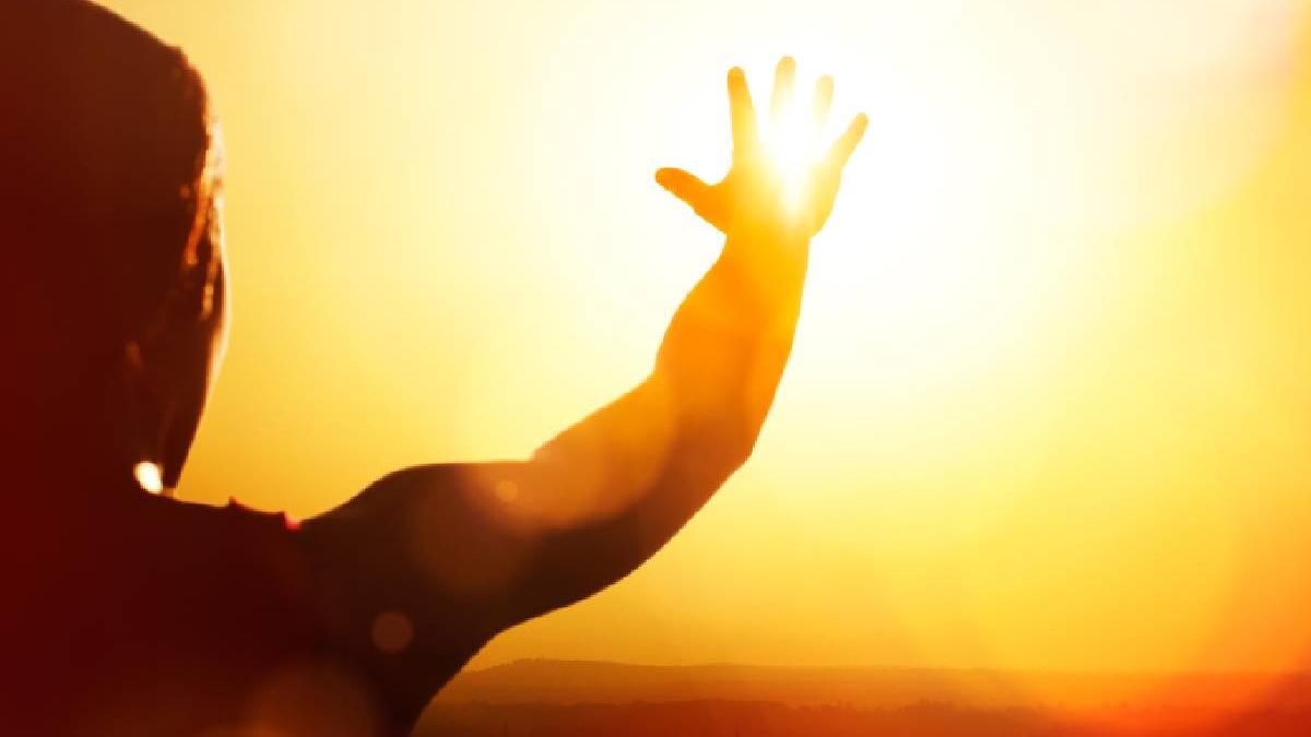 corp canicula semne avertizare organism