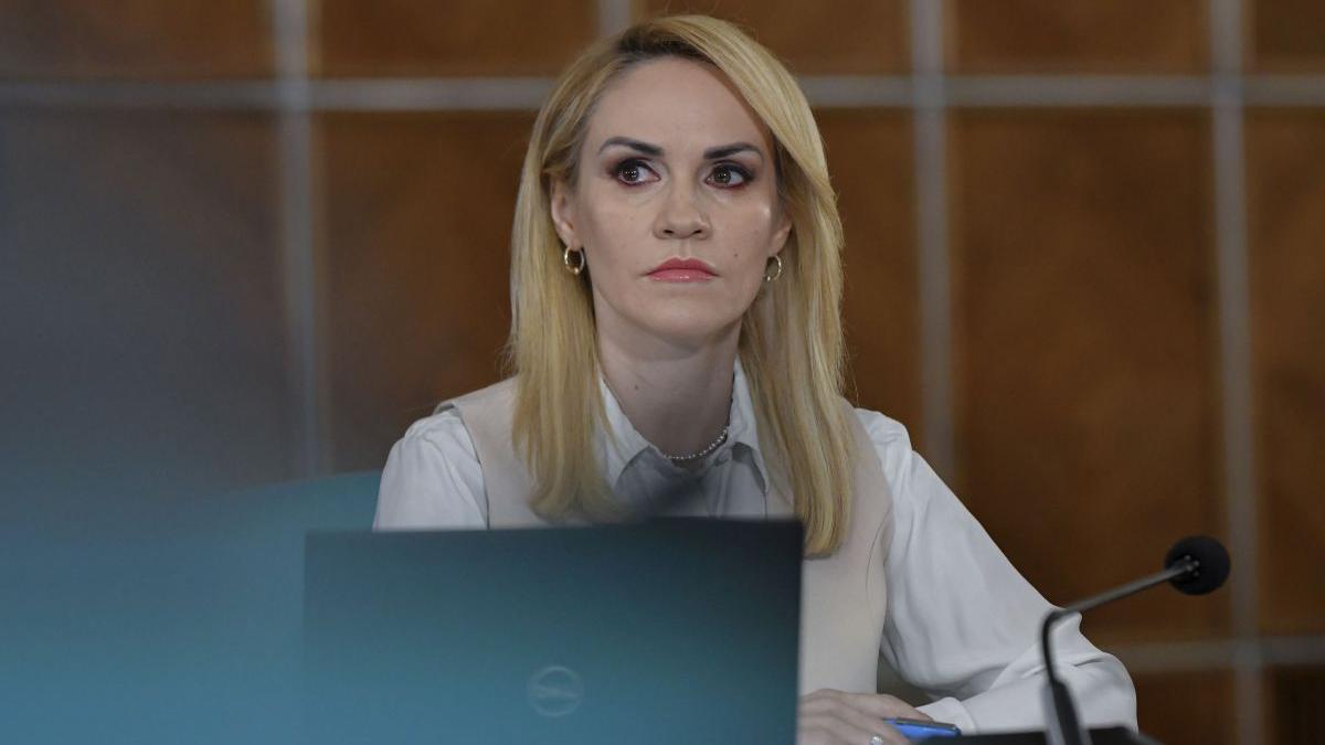 gabriela firea teama functii publice
