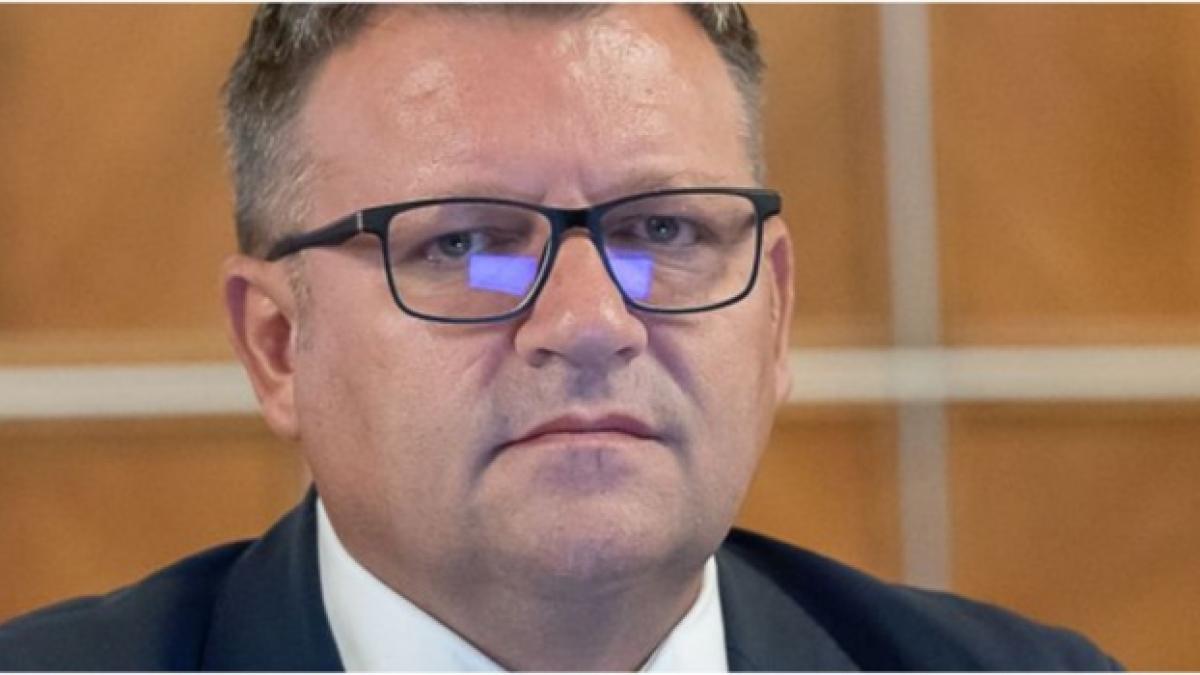 marius budai ong asistenta sociala