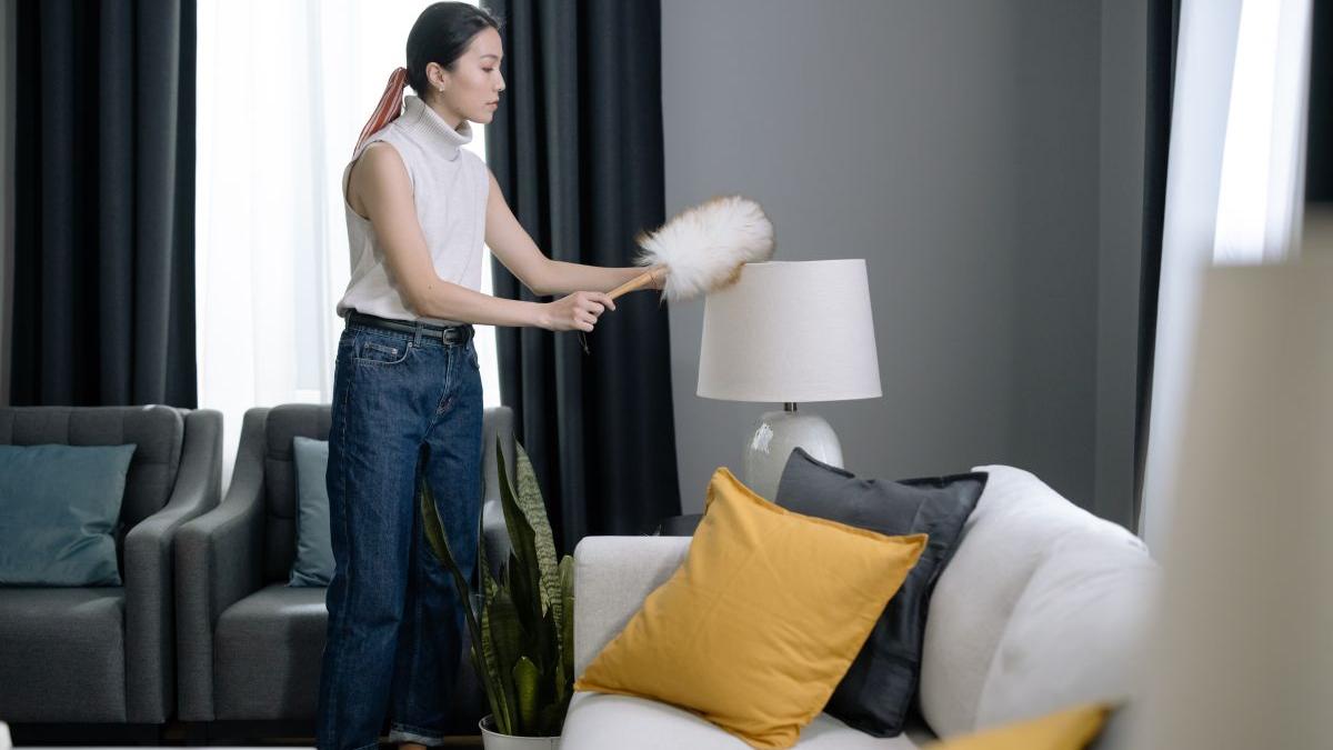 medic radu tincu poluare interior casa