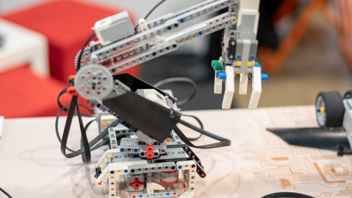 concurs eveniment tineri talentati romania senatul stiintific