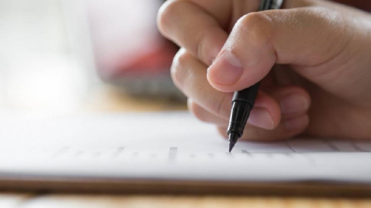 profesor timis eliminat titularizare incercat copieze