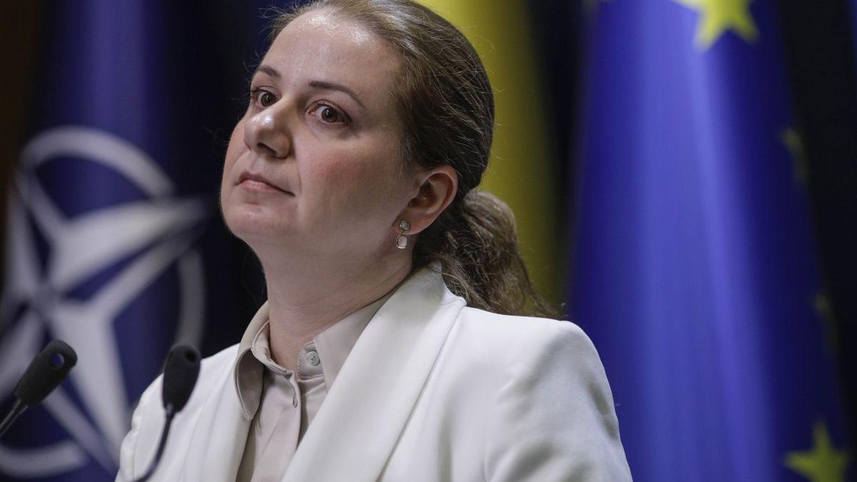 gramatica noua materie elevi licei ligia deca