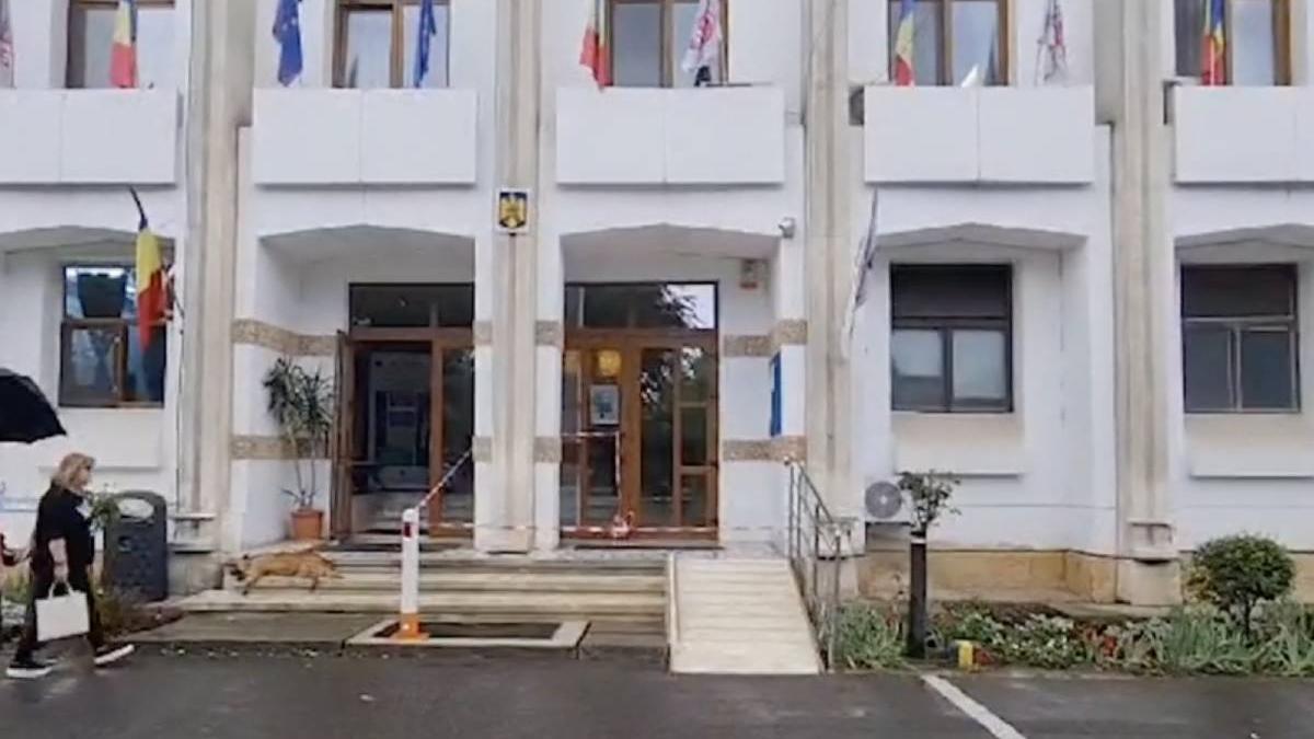 patron azile batrani fara autorizatie eforie nord stropit benzina primarie constanta spital palazu