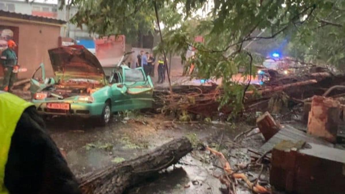 piedone someaza nicusor dan barbat ranit masina strivita copac