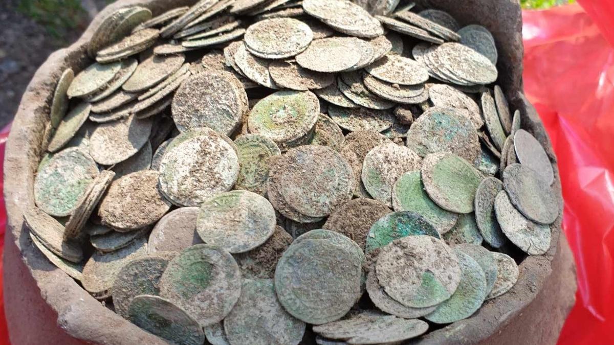 tezaur monetar vechi de 500 de ani descoperit intr o padure din bihor