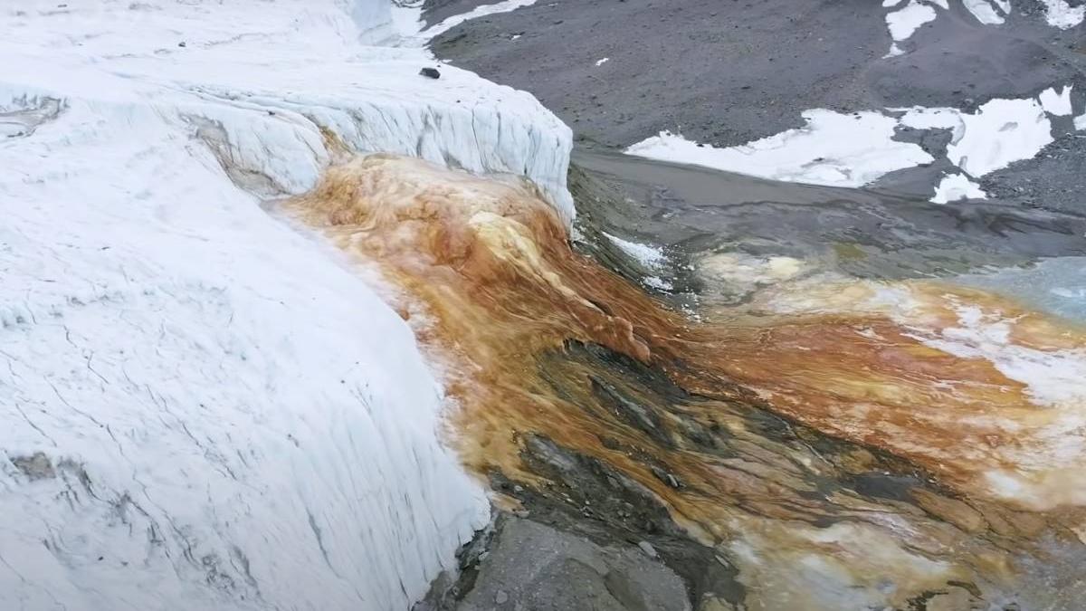 mister ghetar antarctica sangerat deslusit cercetatori descoperit strat gheata