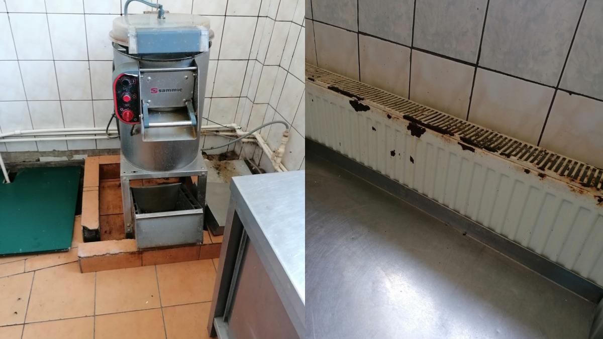 nereguli centru ion holban iasi 62 copii nevoi speciale locuiesc conditii improprii prefect demisie