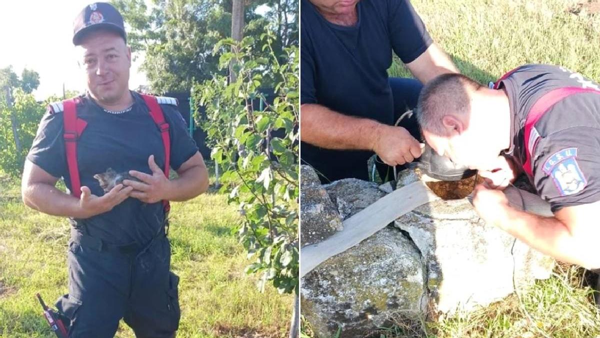 pui pisica salvat ultima clipa pompieri cazut canal