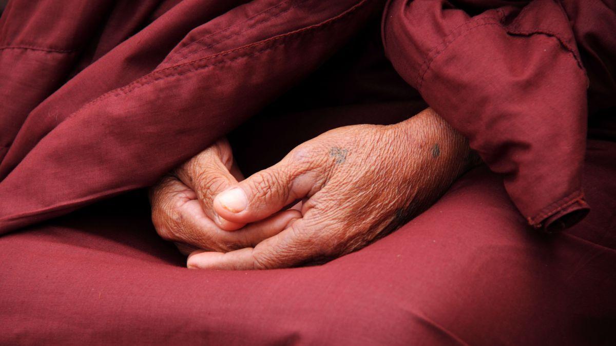 dna interceptat microfoane caminele groazei noile stenograme