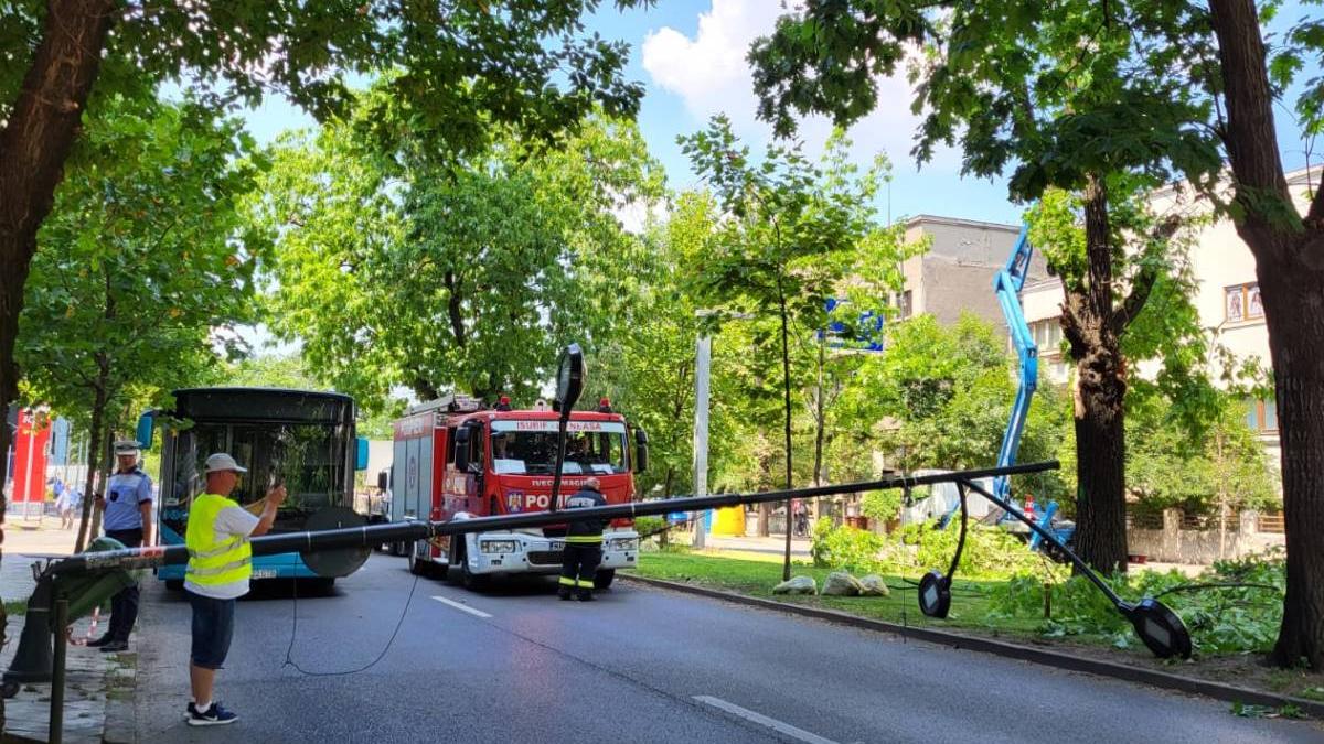 copac cazut bucuresti