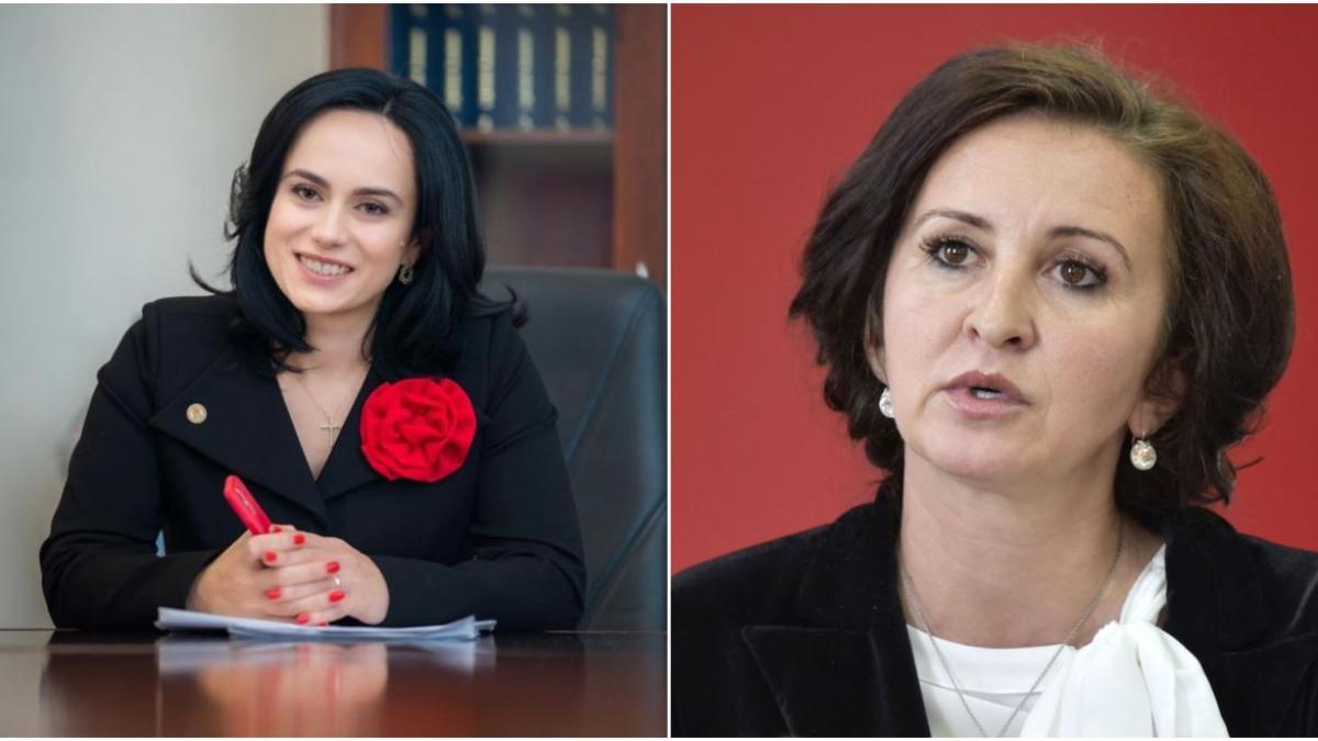 marcel ciolacu propunere ministerul muncii simona bucura oprescu