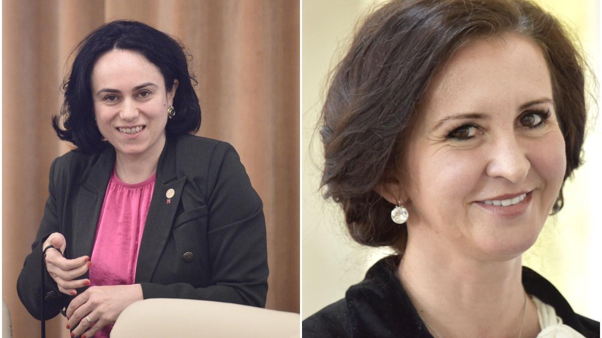 propunerile psd pentru ministerul muncii si al familiei una din ele a fost si in guvernele dancila