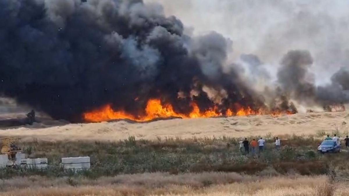 incediu de vegetatie bragadiru magurele trafic deviat centura bucurestiului