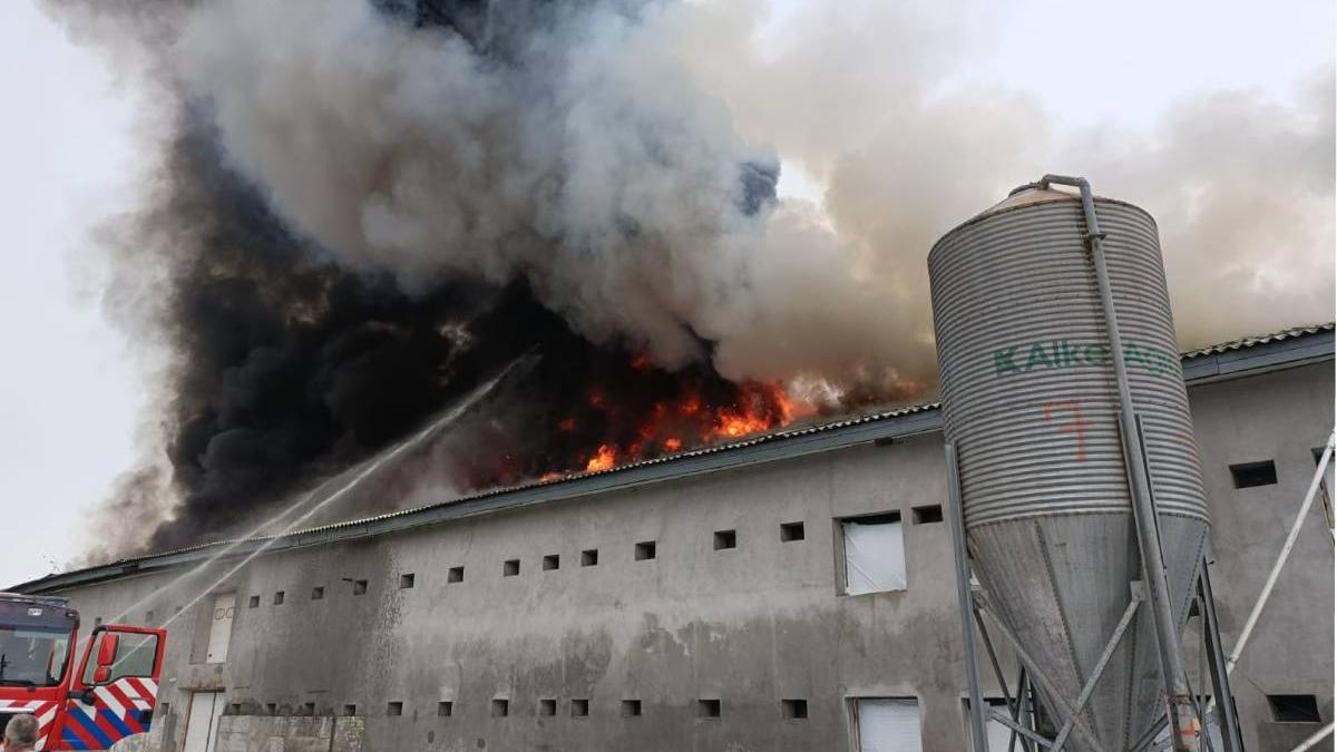 incendiu hala maramures
