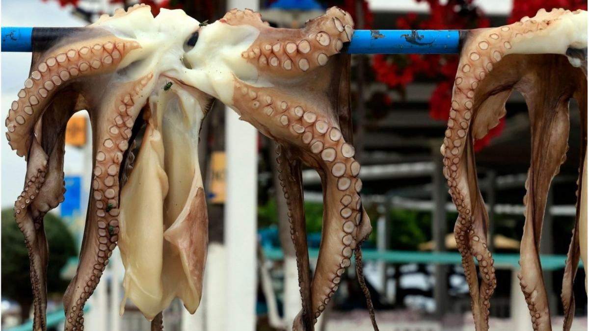 vacanta grecia gratar balcon mici