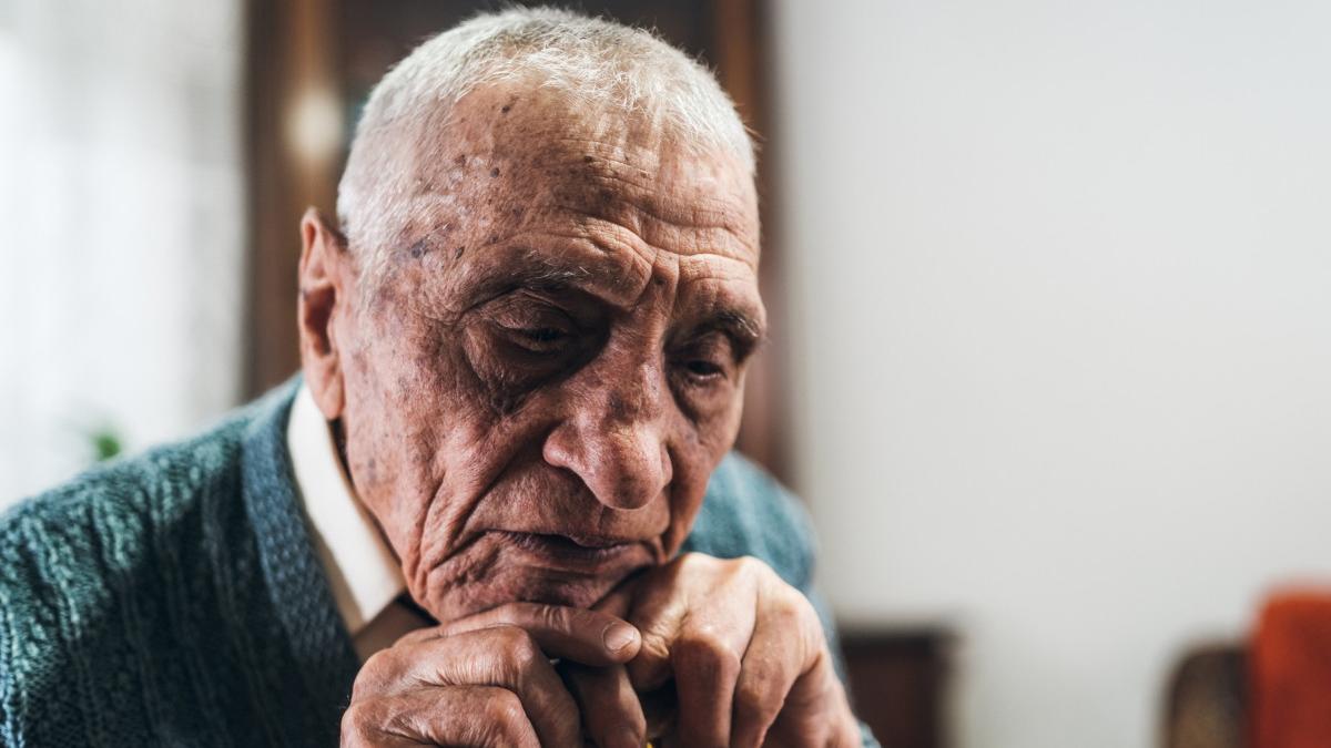 audieri maraton perchezitii informatice dosarul caminelor groazei voluntari ilfov