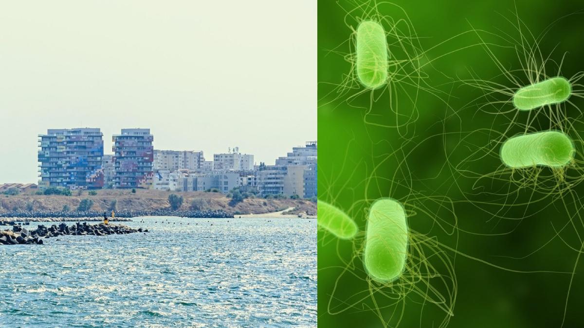 ministrul sanatatii sfatyri perevnire infectare bacteria e coli litoral