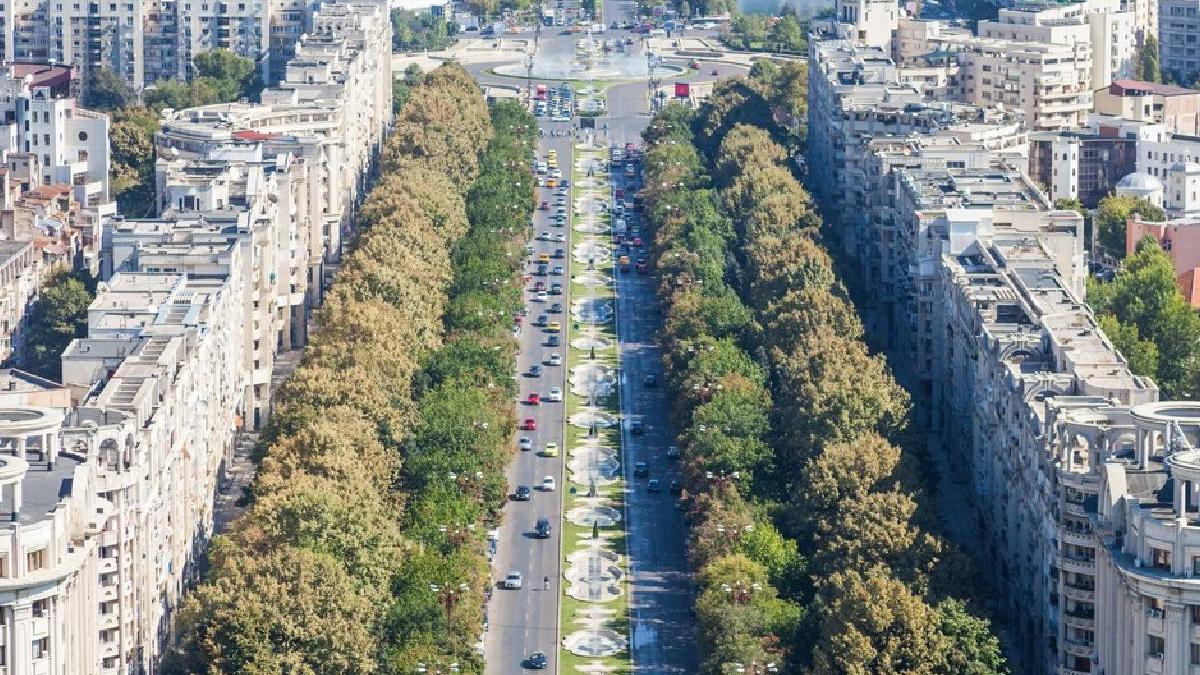 pericol bucuresti copaci stau cada toaletati