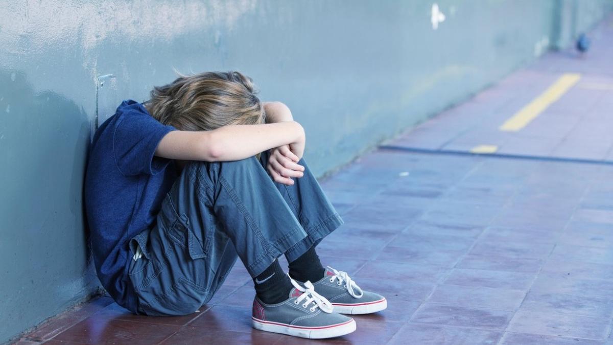 procedura gestionare cazuri violenta scoli