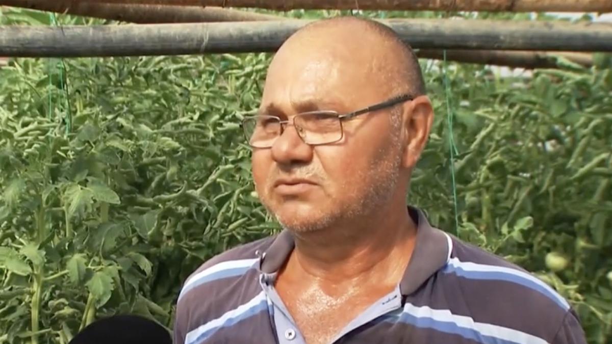 solutii speciale producatori romani legume protejare culturi canicula