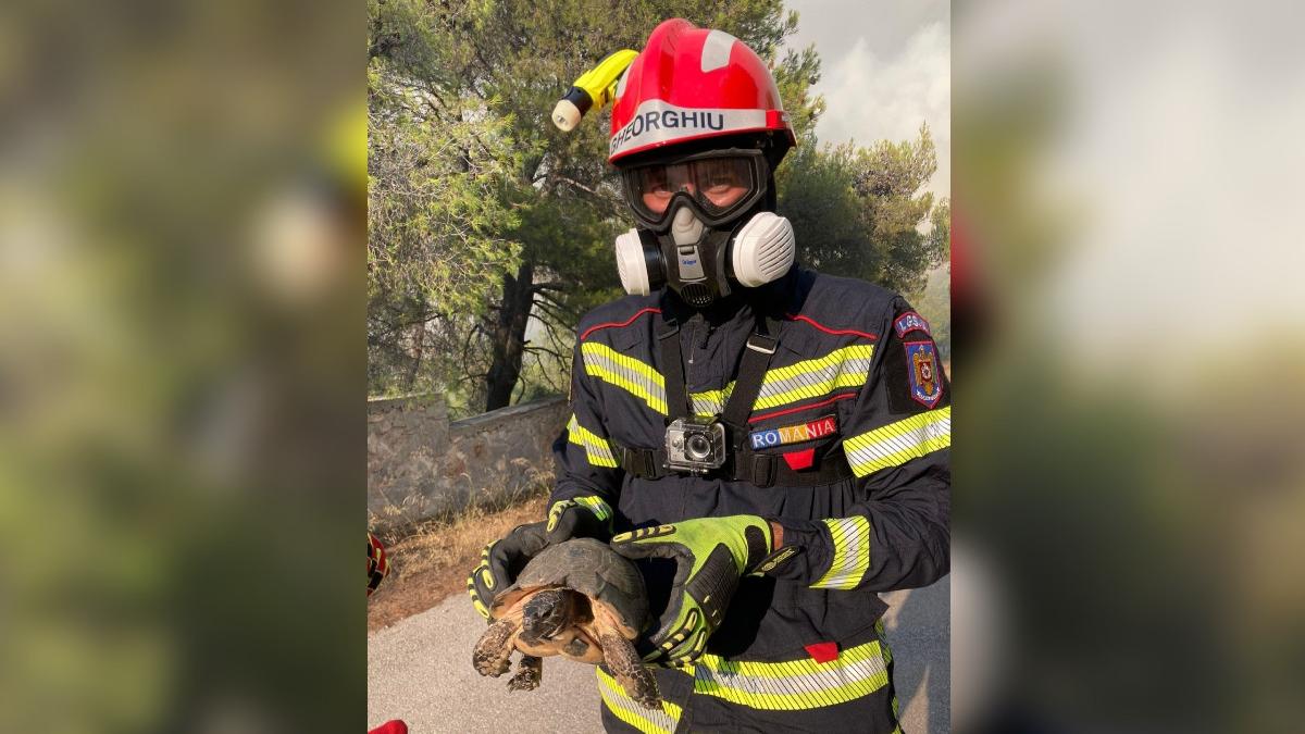 el este raul pompier erou roman ajutor incendii grecia misiuni internationale