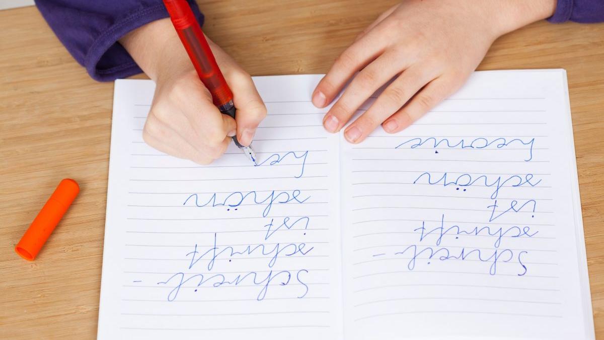 scoala viitorului concurs creativitate elevi scrisul de mana fundatia dan voiculescu pentru