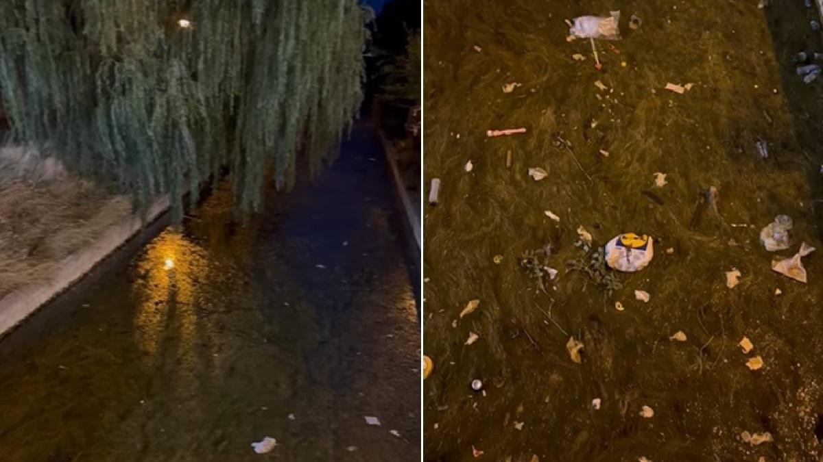 avertisment derector general anpc parau siutghiol lacul tabacariei focar infectie