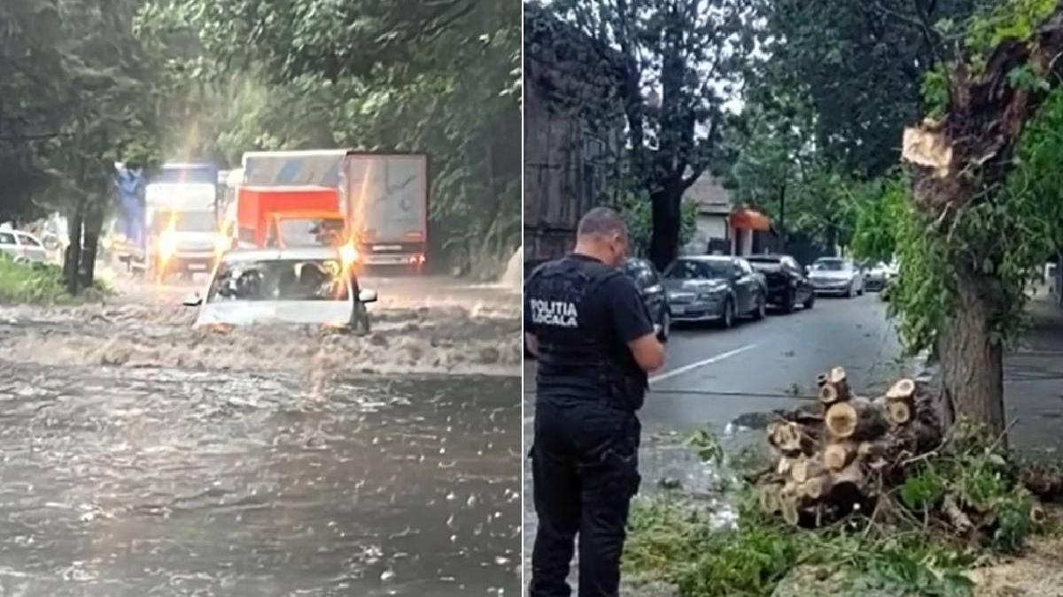 furtuni prapad romania grindina distrus culturi oameni copaci doborati