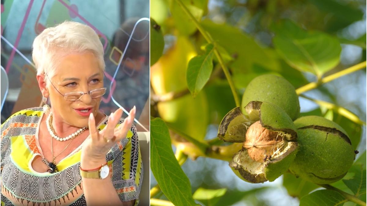 unguent tratare dermatite psoriazis ciuperca piciorului lidia fecioru