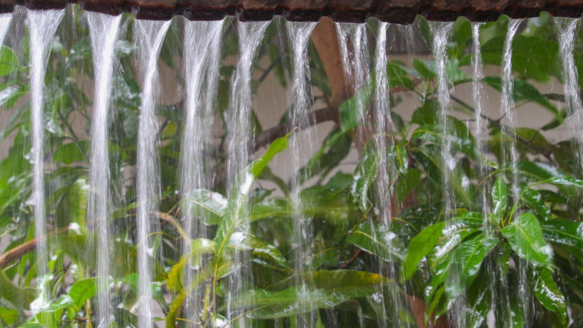 cod portocaliu ploi torentiale avertizare meteo imediata anm